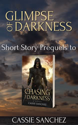 Glimpse of Darkness book cover